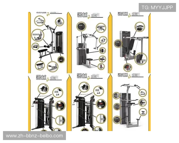 如何根据力量训练目标选择合适的健身器材 如何根据力量训练目标选择合适的健身器材