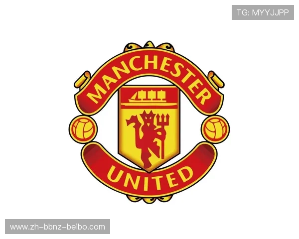 英超各球队队徽尺寸的标准与变化 英超各球队队徽尺寸的标准与变化